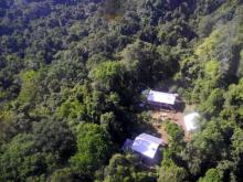 Lowland rainforest in Wanang and the field research station
