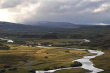 COAT Varanger - Arctic tundra