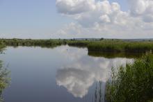 Balaton LTSER, Kis-Balaton LTER site