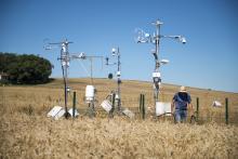 Meteorological station (fluxes tower) (Photo: CESBIO)