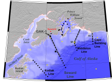 The NGA site within the North Pacific 