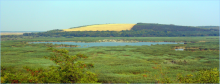 Scenic picture of lake Srebarna from the observation tower