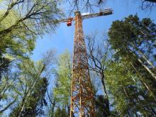  The canopy crane is installed in the center of the research area
