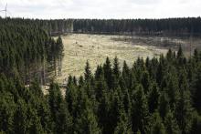 Overview of the TERENO site Wüstebach © FZ Jülich